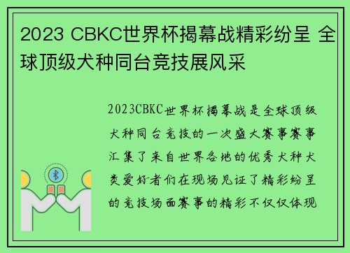 2023 CBKC世界杯揭幕战精彩纷呈 全球顶级犬种同台竞技展风采 2023 CBKC世界杯揭幕战精彩纷呈 全球顶级犬种同台竞技展风采